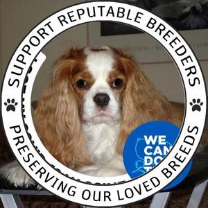 Meet your Posher, Marian